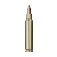 RWS - .223 Rem - 3,4 g / 52 grs - 20 Stück