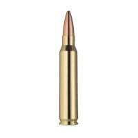 RWS - .223 Rem - 4,5 g / 69 grs - 20 Stück