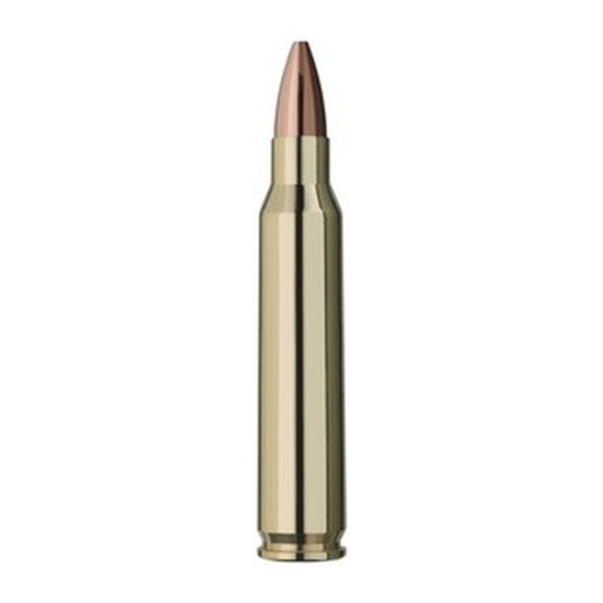 RWS - .223 Rem - 3,4 g / 52 grs - 20 Stück