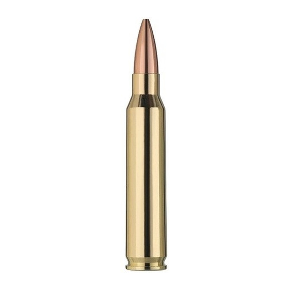 RWS - .223 Rem - 4,5 g / 69 grs - 20 Stück